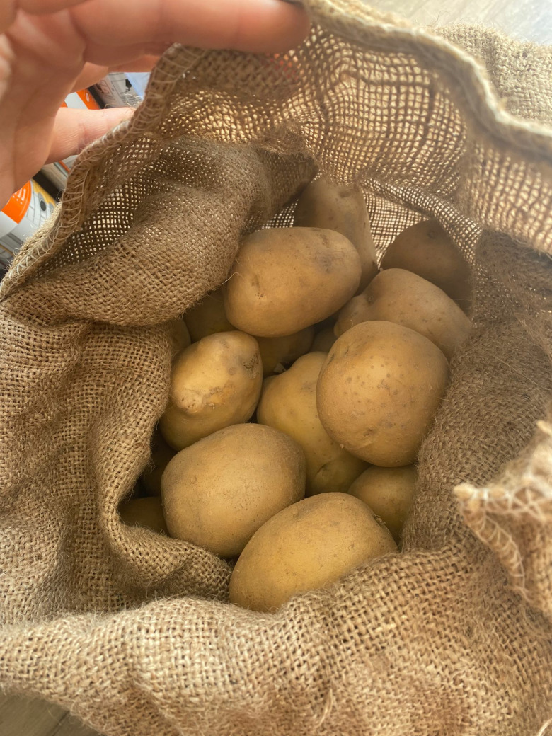 Sarı Patates Mini / Baybi 3 Kilo