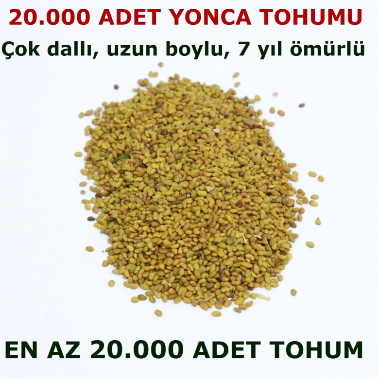 Yonca Tohumu (20.000 Adet)